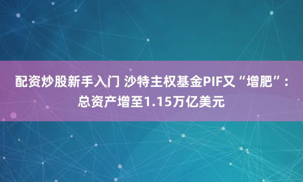 配资炒股新手入门 沙特主权基金PIF又“增肥”：总资产增至1.15万亿美元