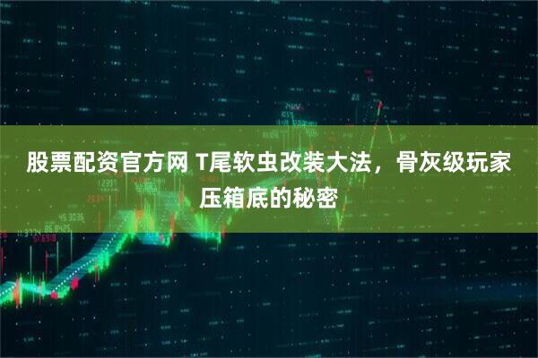 股票配资官方网 T尾软虫改装大法，骨灰级玩家压箱底的秘密