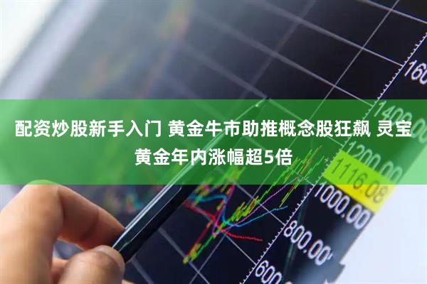 配资炒股新手入门 黄金牛市助推概念股狂飙 灵宝黄金年内涨幅超5倍